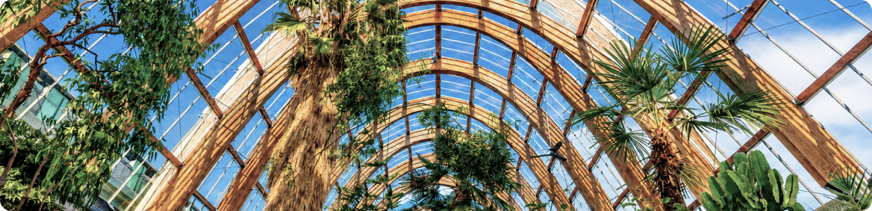 The Winter Garden, Sheffield